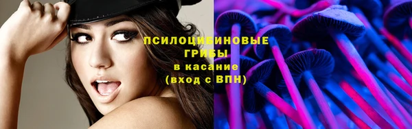 скорость Богданович
