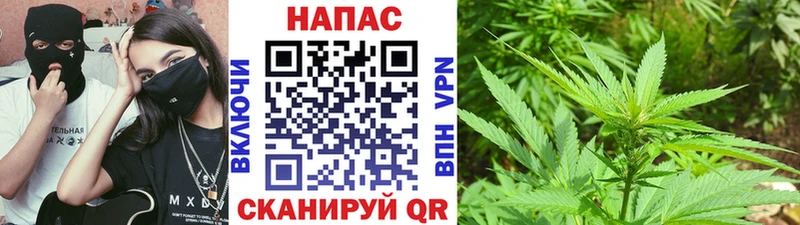 Бошки Шишки гибрид  Купить где  Ухта 